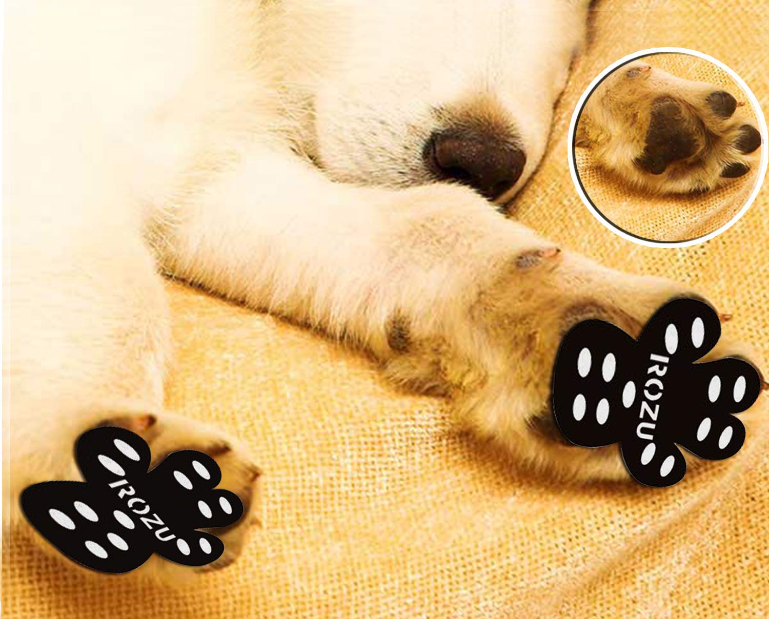 Read more about the article ROZU – Dog Paw Protection Pads