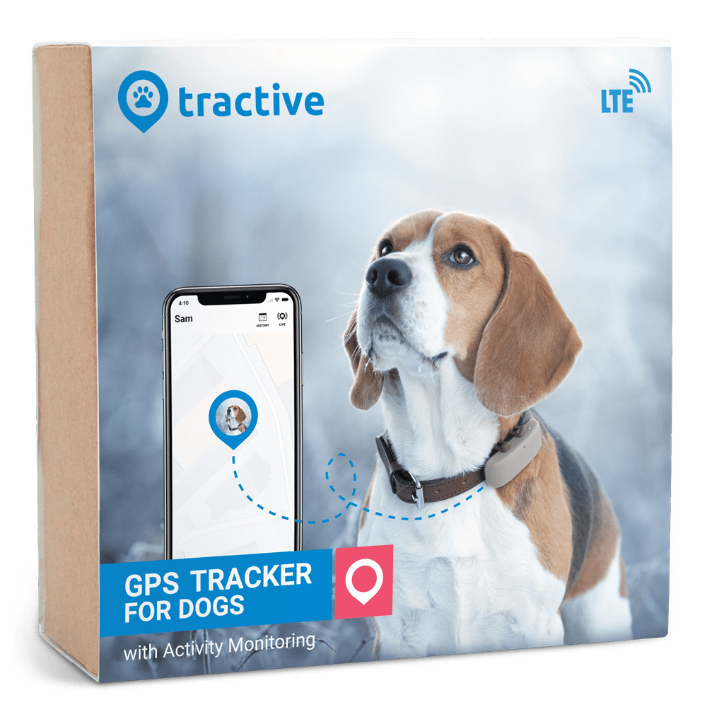 Read more about the article Tractive – GPS Tracker For Dogs