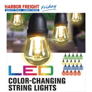 Luminar Outdoor - LED Color Changing String Light