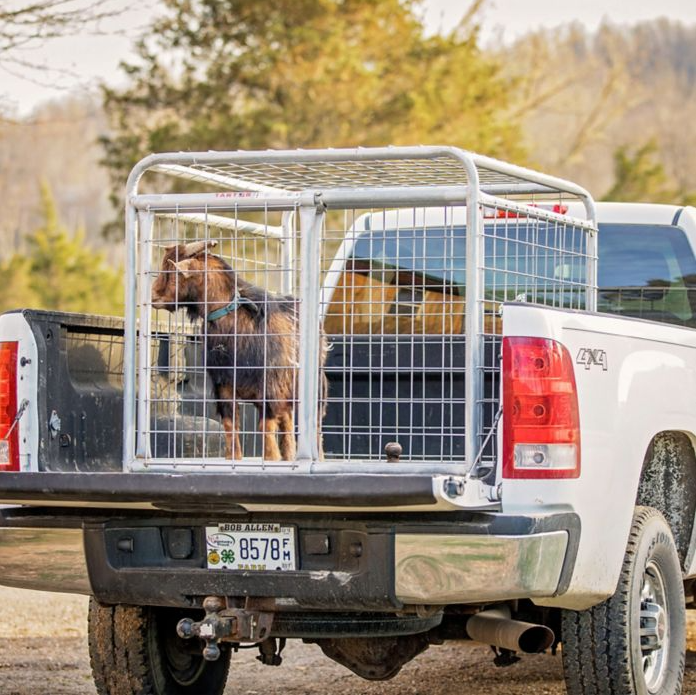 Read more about the article Tarter – Small Animal Transporter