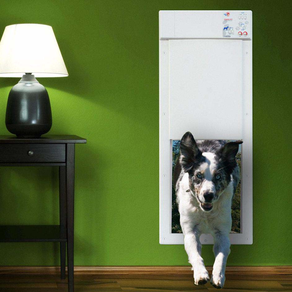Read more about the article High Tech Pet – Automatic Power Pet Door