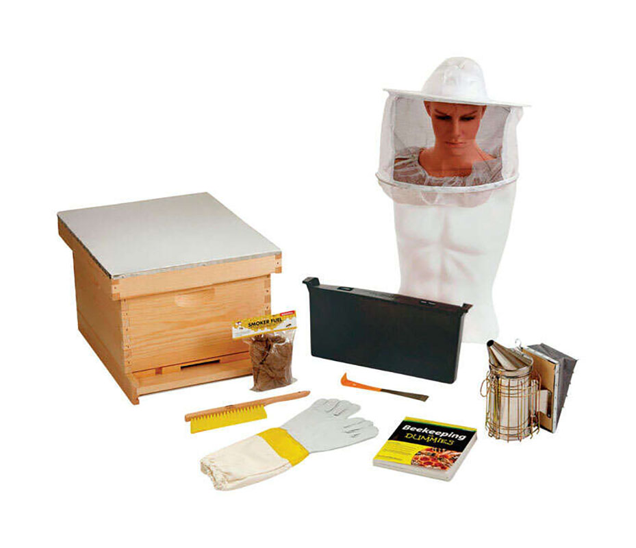 Read more about the article Little Giant – Beginner Bee Hive Kit