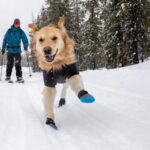 RUFFWEAR – Polar Trex™ Winter Dog Boots