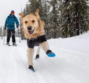 RUFFWEAR - Polar Trex™ Winter Dog Boots