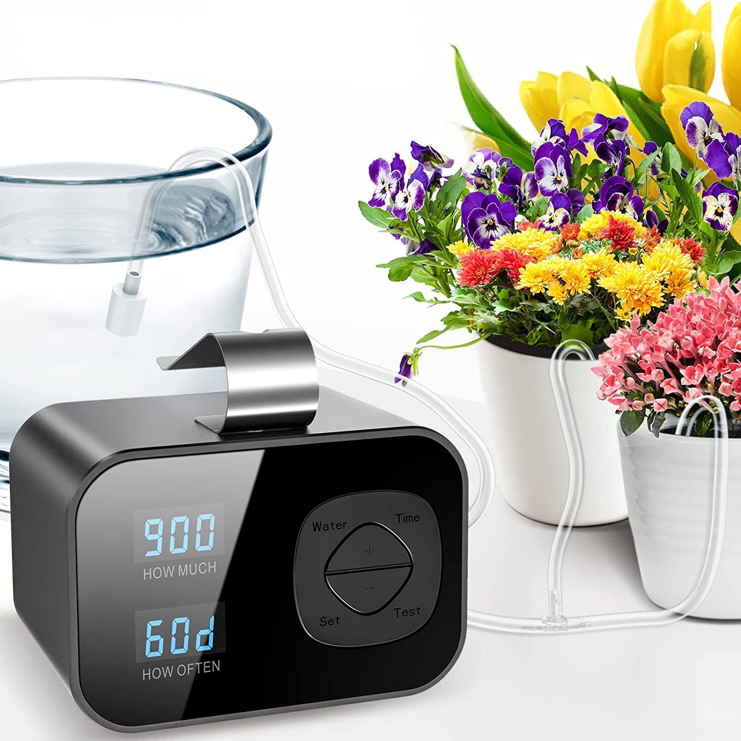 Read more about the article Zollea – Indoor Automatic Watering System