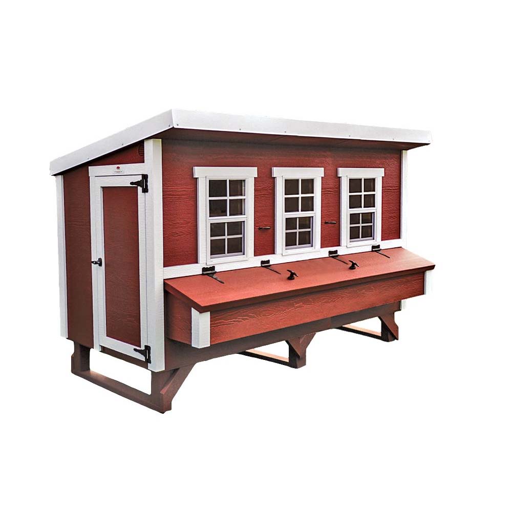 Read more about the article OverEZ – XL Chicken Coop