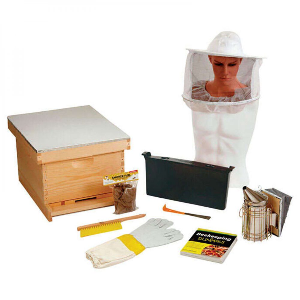 Little Giant - Beginner Bee Hive Kit
