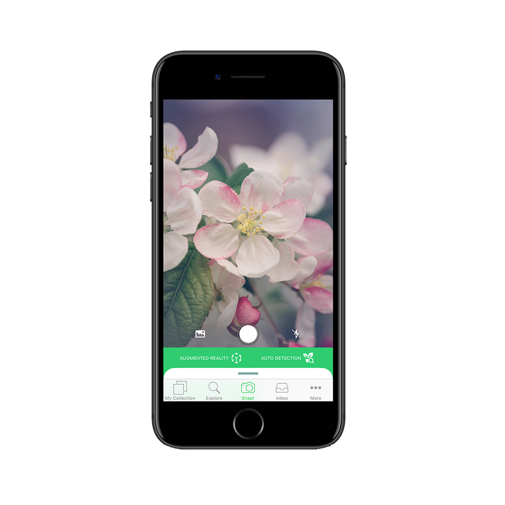 App - PlantSnap